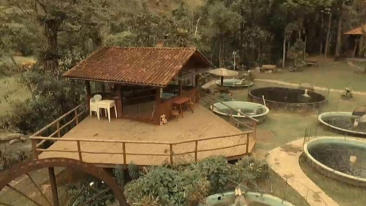 Chale Truta Da Floresta ヴィスコンデ・デ・マウアー エクステリア 写真